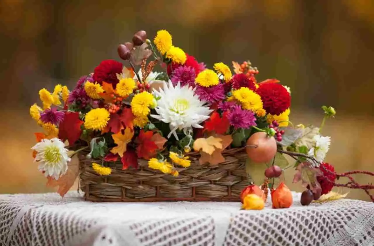 La pianta che devi assolutamente mettere a novembre: fiorisce senza cure anche d’inverno